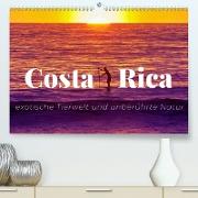 Costa Rica - exotische Tierwelt und unberührte Natur (Premium, hochwertiger DIN A2 Wandkalender 2021, Kunstdruck in Hochglanz)