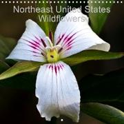 Northeast United States Wildflowers (Wall Calendar 2021 300 × 300 mm Square)