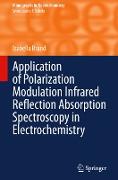 Application of Polarization Modulation Infrared Reflection Absorption Spectroscopy in Electrochemistry