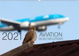 Aviation 2021 - Vielfalt der Luftfahrt (Wandkalender 2021 DIN A2 quer)