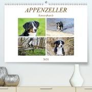 Appenzeller Sennenhunde (Premium, hochwertiger DIN A2 Wandkalender 2021, Kunstdruck in Hochglanz)