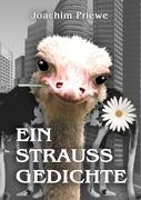 Ein Strauss Gedichte