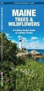 Maine Trees & Wildflowers: A Folding Pocket Guide to Familiar Plants