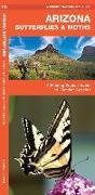 Arizona Butterflies & Moths: A Folding Pocket Guide to Familiar Species