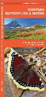 Montana Butterflies & Moths: A Folding Pocket Guide to Familiar Species