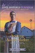 Seeking Amish Shelter