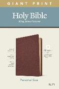 KJV Personal Size Giant Print Bible, Filament Enabled Edition (Genuine Leather, Burgundy)
