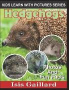 Hedgehogs: Photos and Fun Facts for Kids