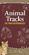 Animal Tracks of the Northeast