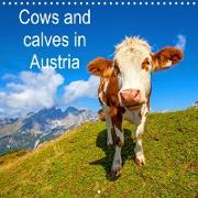 Cows and calves in Austria (Wall Calendar 2021 300 × 300 mm Square)