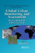 Global Urban Monitoring and Assessment through Earth Observation