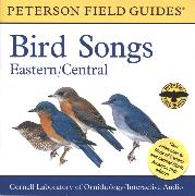 A Field Guide to Bird Songs