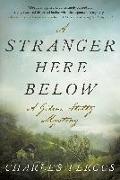 A Stranger Here Below: A Gideon Stoltz Mystery