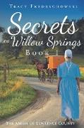 Secrets of Willow Springs - Book 1