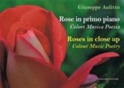 Roses in Close Up: Colour Music Poetry
