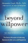 Beyond Willpower: The Secret Principle to Achieving Success in Life, Love, and Happiness