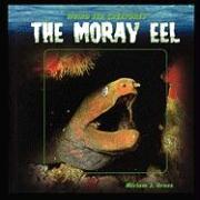 The Moray Eel