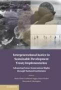 Intergenerational Justice in Sustainable Development Treaty Implementation: Advancing Future Generations Rights Through National Institutions