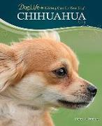 Chihuahua [With Coupons and DVD]