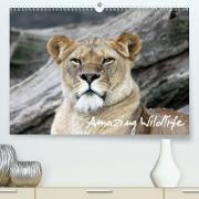 Amazing Wildlife (Premium, hochwertiger DIN A2 Wandkalender 2021, Kunstdruck in Hochglanz)