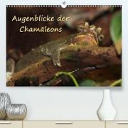 Augenblicke der Chamäleons (Premium, hochwertiger DIN A2 Wandkalender 2021, Kunstdruck in Hochglanz)