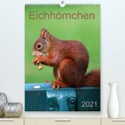 Eichhörnchen (Premium, hochwertiger DIN A2 Wandkalender 2021, Kunstdruck in Hochglanz)