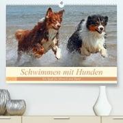 Schwimmen mit Hunden - Ein Spaß für Mensch und Hund (Premium, hochwertiger DIN A2 Wandkalender 2021, Kunstdruck in Hochglanz)