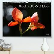 Prachtvolle Orchideen (Premium, hochwertiger DIN A2 Wandkalender 2021, Kunstdruck in Hochglanz)