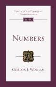 Numbers: An Introduction and Commentary