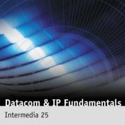 Datacom and IP Fundamentals