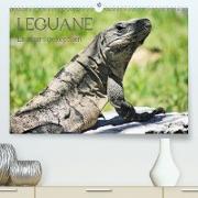 Leguane - Einzigartige Reptilien (Premium, hochwertiger DIN A2 Wandkalender 2021, Kunstdruck in Hochglanz)