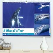 A Whale of a Year (Premium, hochwertiger DIN A2 Wandkalender 2021, Kunstdruck in Hochglanz)