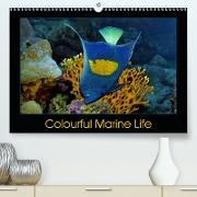 Colourful Marine Life (Premium, hochwertiger DIN A2 Wandkalender 2021, Kunstdruck in Hochglanz)