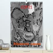 COP21 Eléments coeurs (Premium, hochwertiger DIN A2 Wandkalender 2021, Kunstdruck in Hochglanz)