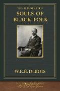 The Illustrated Souls of Black Folk