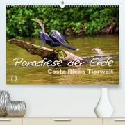 Paradiese der Erde: Costa Ricas Tierwelt (Premium, hochwertiger DIN A2 Wandkalender 2021, Kunstdruck in Hochglanz)