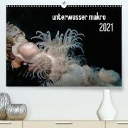 unterwasser makro 2021 (Premium, hochwertiger DIN A2 Wandkalender 2021, Kunstdruck in Hochglanz)