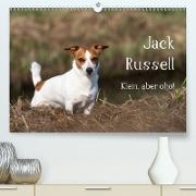Jack Russell - Klein, aber oho! (Premium, hochwertiger DIN A2 Wandkalender 2021, Kunstdruck in Hochglanz)