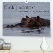blick kontakt mit tieren im südlichen afrika (Premium, hochwertiger DIN A2 Wandkalender 2021, Kunstdruck in Hochglanz)