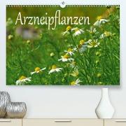 Arzneipflanzen (Premium, hochwertiger DIN A2 Wandkalender 2021, Kunstdruck in Hochglanz)