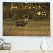 Deer in the Wild Sika (Premium, hochwertiger DIN A2 Wandkalender 2021, Kunstdruck in Hochglanz)