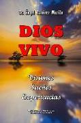 Dios Vivo: Visiones - Sueños - Experiencias