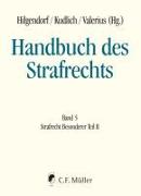 Handbuch des Strafrechts Band 05