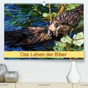 Das Leben der Biber (Premium, hochwertiger DIN A2 Wandkalender 2021, Kunstdruck in Hochglanz)
