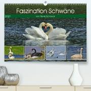 Faszination Schwäne (Premium, hochwertiger DIN A2 Wandkalender 2021, Kunstdruck in Hochglanz)