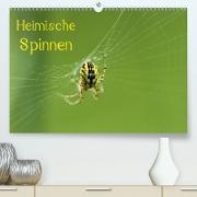 Heimische Spinnen (Premium, hochwertiger DIN A2 Wandkalender 2021, Kunstdruck in Hochglanz)