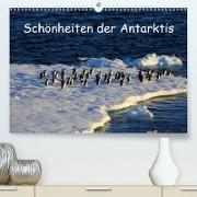 Schönheiten der Antarktis (Premium, hochwertiger DIN A2 Wandkalender 2021, Kunstdruck in Hochglanz)