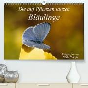 Die auf Pflanzen tanzen: Bläulinge (Premium, hochwertiger DIN A2 Wandkalender 2021, Kunstdruck in Hochglanz)