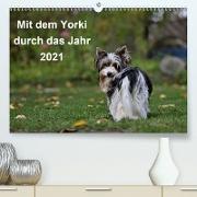 Mit dem Yorki durch das Jahr 2021 (Premium, hochwertiger DIN A2 Wandkalender 2021, Kunstdruck in Hochglanz)