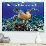 Magische Unterwasserwelten (Premium, hochwertiger DIN A2 Wandkalender 2021, Kunstdruck in Hochglanz)
